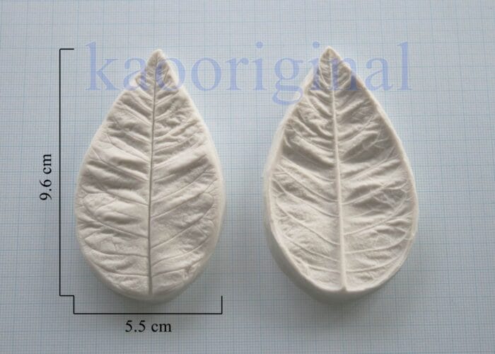 Poinsettia leaf
