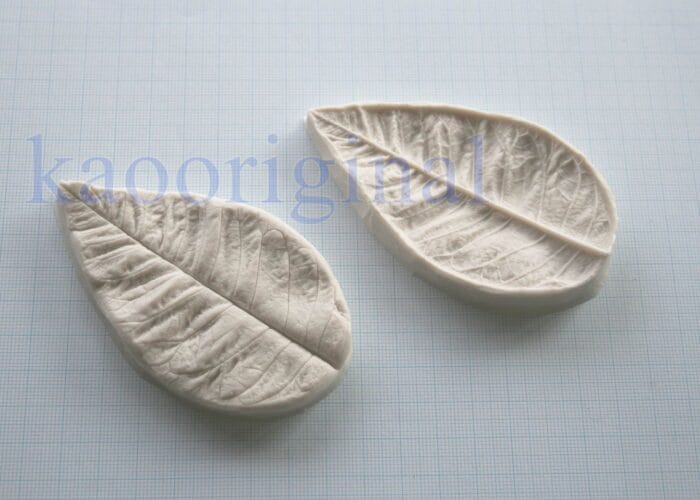 Poinsettia leaf